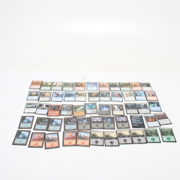 Karty Magic The Gathering D0320101