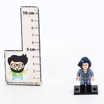 Figurka Lego Harry Potter 71022