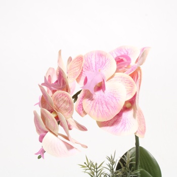 Umělá rostlina orchidejí Olrla ‎OL-PH-FSDZ