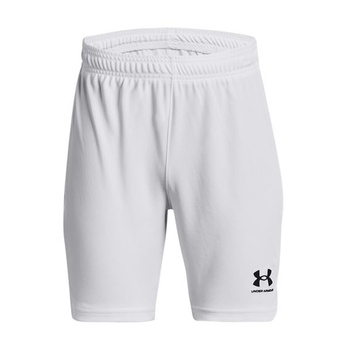 Chlapčenské rýchloschnúce športové kraťasy Under Armour…