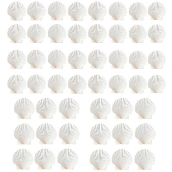 50 kusov mušlí z hrebenatiek, 6-7 cm, prírodné biele mušle, dekorácie z mušlí na maľovanie, vejárové