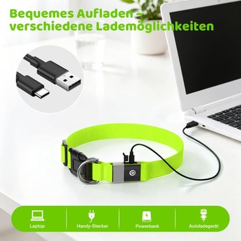 Svietiaci obojok pre psov, LED obojok, dobíjací cez USB-C, vodeodolný, zelený, veľkosť M
