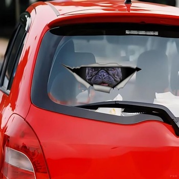 Samolepka na auto s motivem francouzského buldočka, 3D potrhaný efekt, reflexní, voděodolná, na