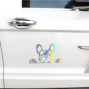 Samolepka na auto s francouzským buldočkem, holografická reflexní, vtipná samolepka s vykukujícím