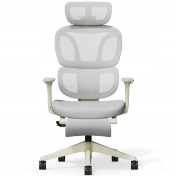 Ergonomická kancelárska stolička BS5WG-M2, s opierkou nôh, sivá - N