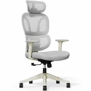 Ergonomická kancelárska stolička BS5WG-PRO, šedá - A