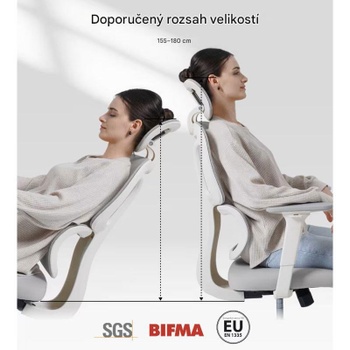 Ergonomická kancelárska stolička BS5WG-PRO, šedá - A