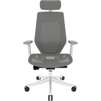 Ergonomická kancelárska stolička BS11G-PRO, s lakťovou opierkou, sivá - B