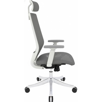 Ergonomická kancelárska stolička BS11G-PRO, s lakťovou opierkou, sivá - B
