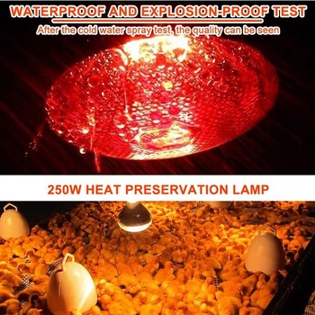 Tepelná lampa pro plazy do terária, 250W žárovka pro plazy, infračervená tepelná lampa s paticí