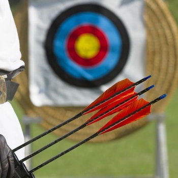 PATIKIL Arrow Feathers, Arrow Türkiye Fletching, Ľavé krídlo na streľbu na terč, fialové, 4 palce