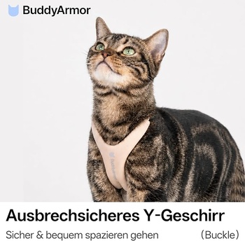 Postroj pre mačku BuddyArmor veľ. M