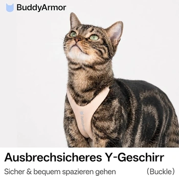 Postroj pre mačku BuddyArmor veľ. M