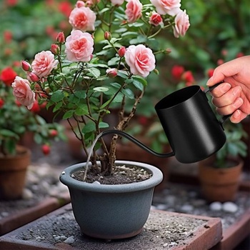 350ml mini kanvička na zalievanie, kanvička na izbové rastliny, malá nerezová kanvička na zalievanie,