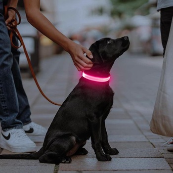 Illumifun dobíjecí LED obojek pro psy, vodotěsný svítivý obojek pro malé i velké psy, světla pro