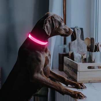 Illumifun dobíjecí LED obojek pro psy, vodotěsný svítivý obojek pro malé i velké psy, světla pro