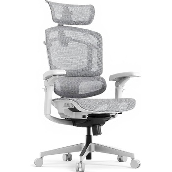 Ergonomická kancelárska stolička OS250G-M1 ErgoX Pro, nosnosť 250 kg, šedá - A