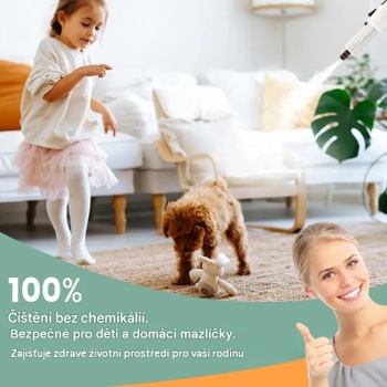 Ručný parný čistič ES10287DE-GR, so 14 príslušenstvom, 400ml, 1500W, šedý - B