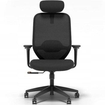 Ergonomická kancelárska stolička C5B-F1HD, 4D podrúčky, čierna - B