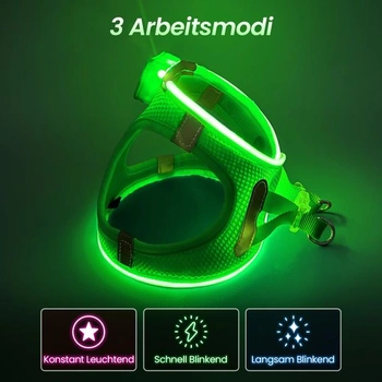 PcEoTllar LED svetelný postroj, dobíjací a reflexný pre psov, zelený-L (3 režimy)