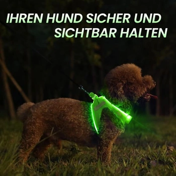 PcEoTllar LED světelný postroj, dobíjecí a reflexní pro psy, zelený-L (3 režimy)