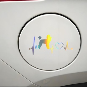 Samolepka na auto s pudlem TIZIKJ