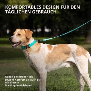 Reflexný obojok pre psov CollarDirect, Martingale obojok, bočná pracka, retiazkový výcvikový obojok,