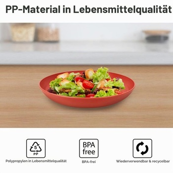 Sada 8 tanierov s priemerom 25 cm, nerozbitné taniere, opakovane použiteľné taniere, ľahké plastové