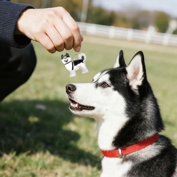 2 přívěsky na klíče se sběratelem psích chlupů husky, roztomilé přívěsky na klíče se sběratelem