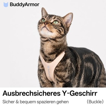 Postroj pro kočku BuddyArmor vel. S