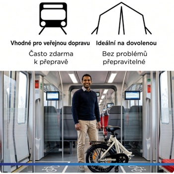 Skladací bicykel ZF40, 20 palcov, 3 prevody, 17,3 kg, šedé - N