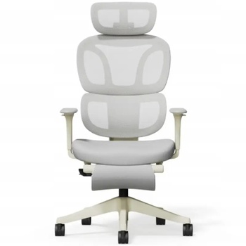 Ergonomická kancelárska stolička s podnožkou BS5WG-F2, 2D opierka hlavy, šedá - N