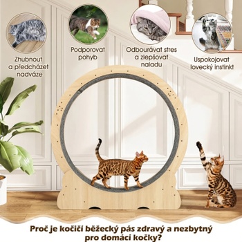 Mačacie bežecké koleso PV10291NA, 101 x 35 x 106 cm, prírodné - B