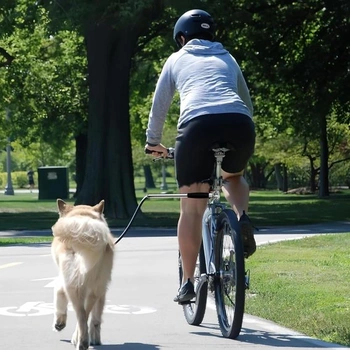 Vodítko na bicykel pre psy s voľnými rukami, vodítko na bicykel s tlmičom nárazov, zaťahovacie a