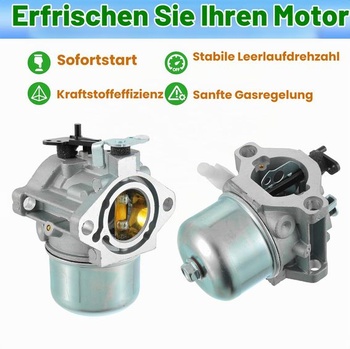 Súprava karburátora kompatibilná s Briggs & Stratton 286702, 286707, 289702