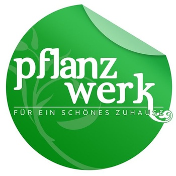 Pflanzwerk® Univerzálny prémiový PVC kvetináč + fólia do jazierka 200x145cm 0,6mm tesniaca membrána
