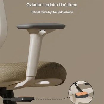 Ergonomická kancelárska stolička C5W-F1, nosnosť až 150 kg, sieťovina, béžová - A