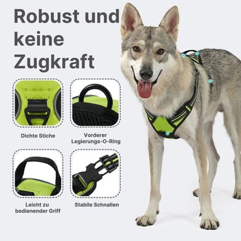 COMSLE No-Pull postroj pre psov, nastaviteľný mäkký polstrovaný postroj pre psov, zelený S S zelený