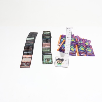 Karty Magic: The Gathering D04621010
