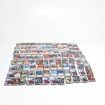 Karty Magic: The Gathering D04621010