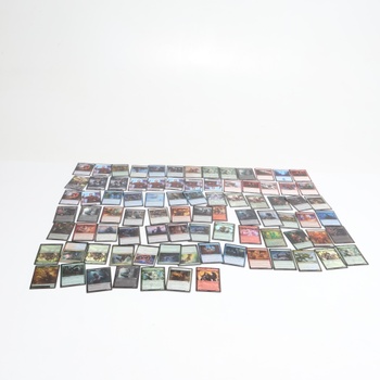 Karty Magic: The Gathering D04621010