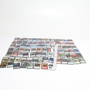 Karty Magic: The Gathering D04621010