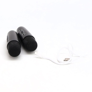 Karaoke se 2 mikrofony Dislocati