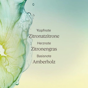 L'OCCITANE - Deodorant - Bez alkoholu a hliníkových solí - Vyrobeno ve Francii 70 g (1 balení)