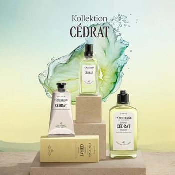 L'OCCITANE - Deodorant - Bez alkoholu a hliníkových solí - Vyrobeno ve Francii 70 g (1 balení)