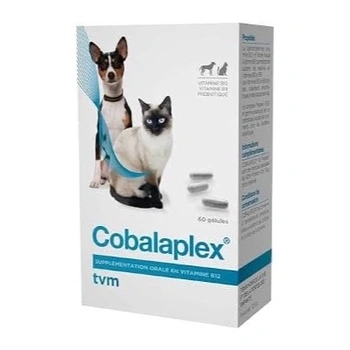 Multivitamín TVM Cobalaplex pro psy 60 tab.