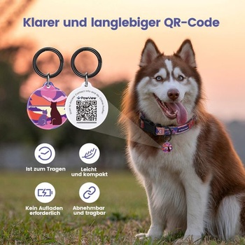 Sada personalizovaného vodítka a obojku pro psy ve stylu Sunrise, nastavitelná, s QR kódem na psí