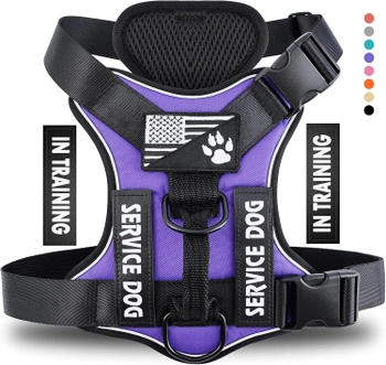 Postroj pre psa Demigreat DG005-Purple-XL