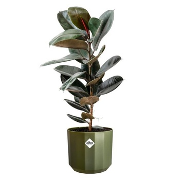 Elho Facet Rund 19cm Blumentopf - lesná zelená lesná zelená 19 cm