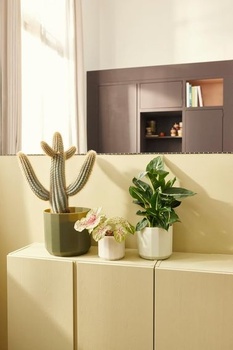 Elho Facet Rund 19cm Blumentopf - lesná zelená lesná zelená 19 cm